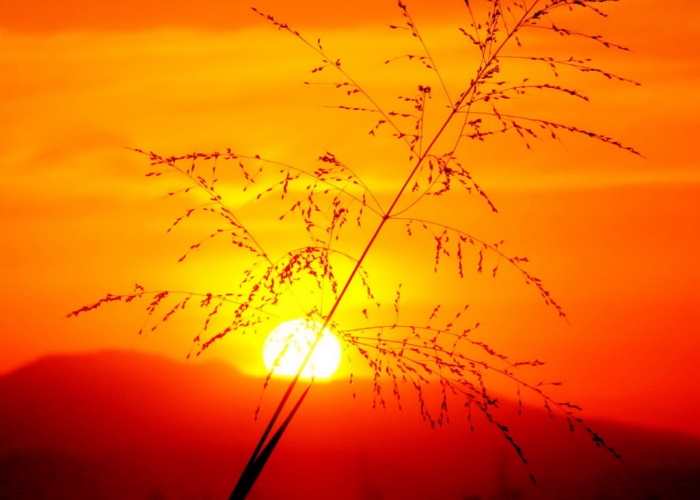 Nature Sundown Great