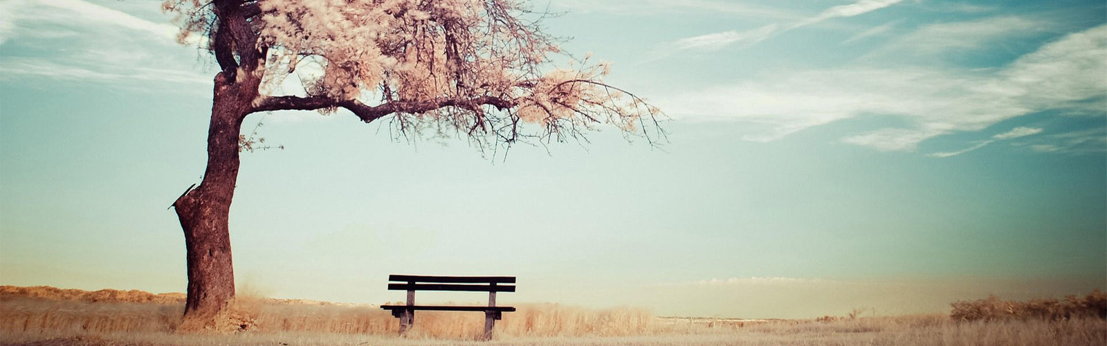 banner3_04